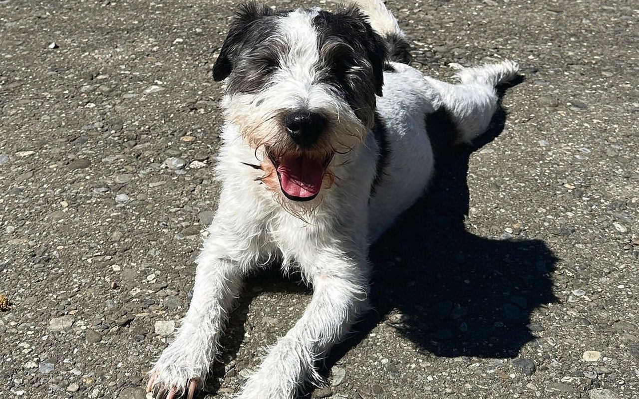 «Unsere übertriebene Vorsicht hat ihn behindert – nicht seine Blindheit», so Stuckis Resümee.