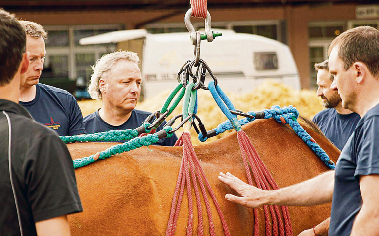 Mit dem Transportnetz können schwere Tiere geborgen werden.