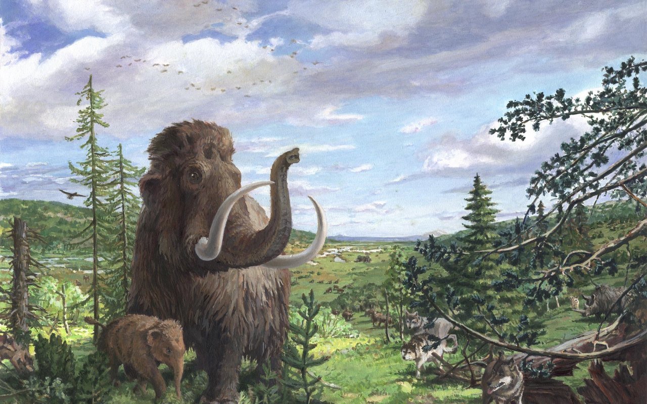 Eine Rekonstruktion des zürcherischen 
Wehntals aus der relativ warmen Phase im mittleren Abschnitt der letzten 
Eiszeit vor 45'000 Jahren.