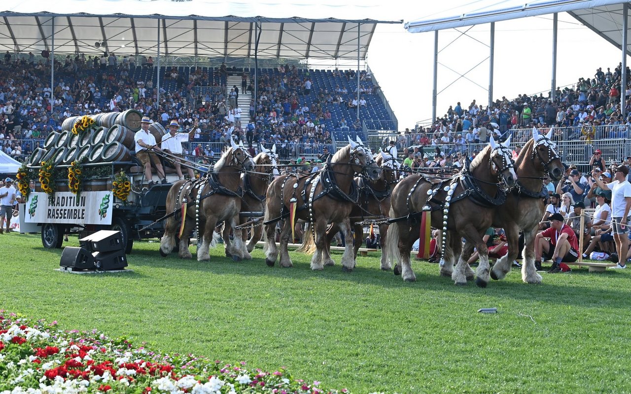 Gänsehautmoment: 50 000 Menschen begrüssen den Sechsspänner am Eidgenössischen Schwingfest 2022.