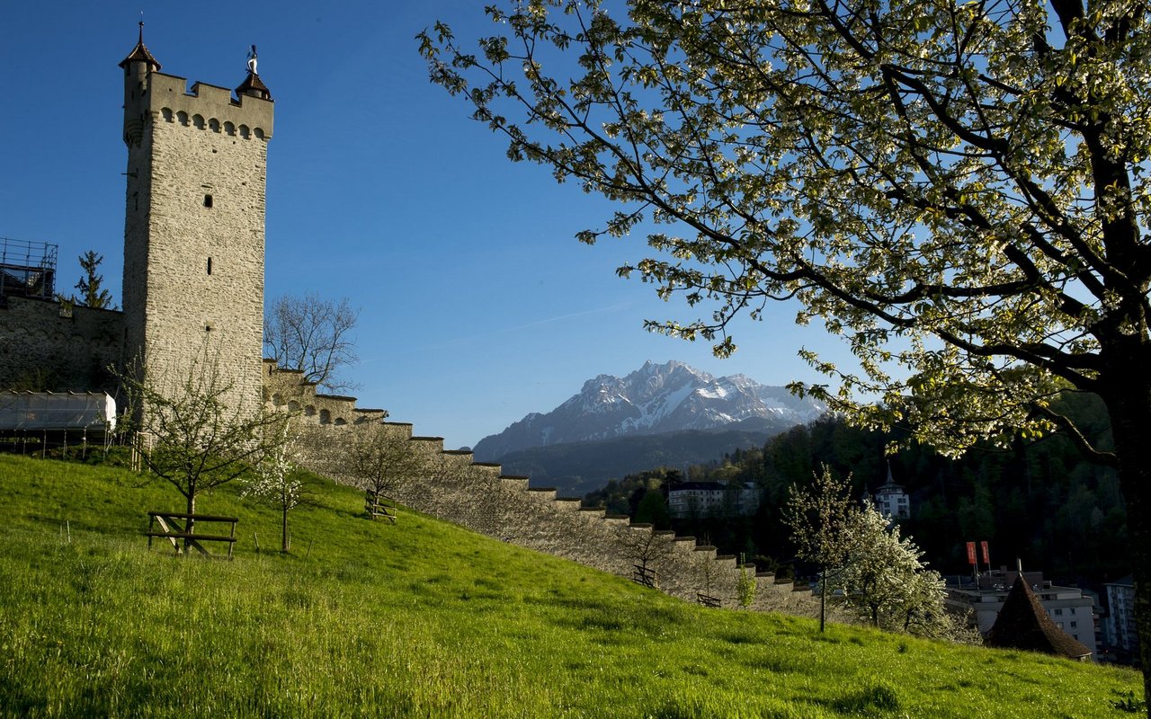 Der Kulturhof Hinter Musegg ist eine grüne Oase unweit des Stadtrubels.