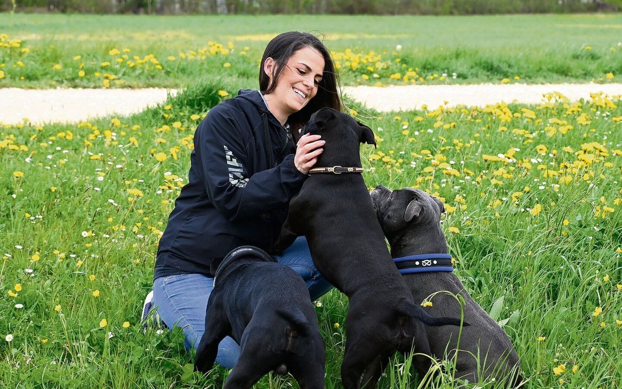 Beim Spazieren schmust Zana Hatirli auch gerne mit den Staffordshire Bullterriern Chio, Ninja und Lewis.