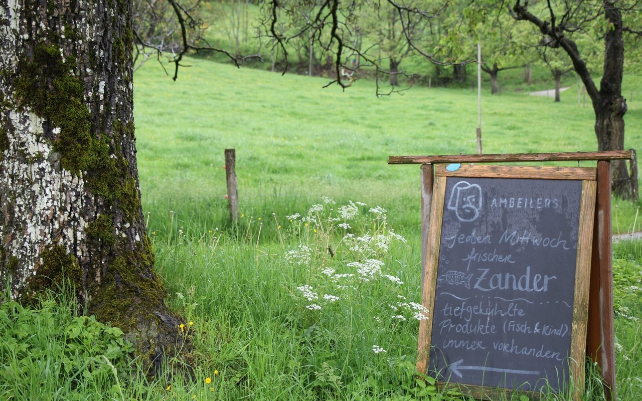 Zander, direkt vom Ambeiler Hof von Matthias und Daria Widmer im Emmental. 