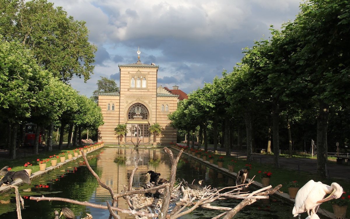 Auf einer Zooreise die Wilhelma in Stuttgart entdecken. Es handelt sich um einen zoologisch, botanisch und historischen Garten. 