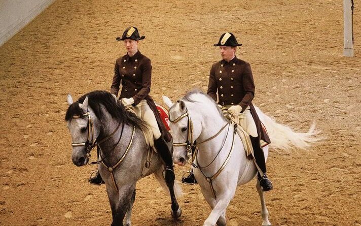 Die Arbeiten der Spanischen Hofreitschule sind divers. Sie reichen von der Levade an der Hand bis zum gerittenen Pas de Deux. 