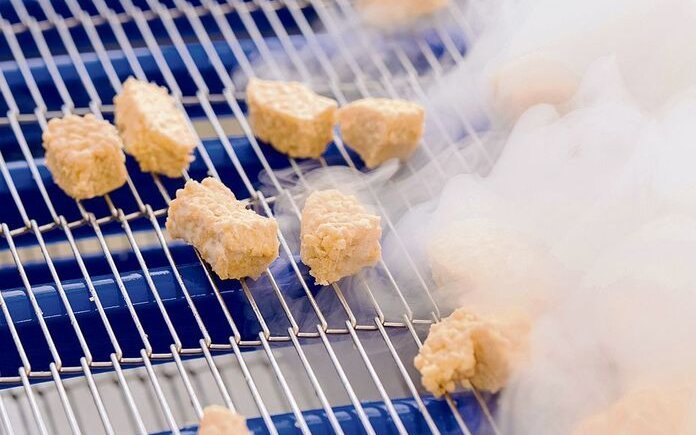 Das Start-up Luya stellt aus Okara Fleischersatzprodukte her.