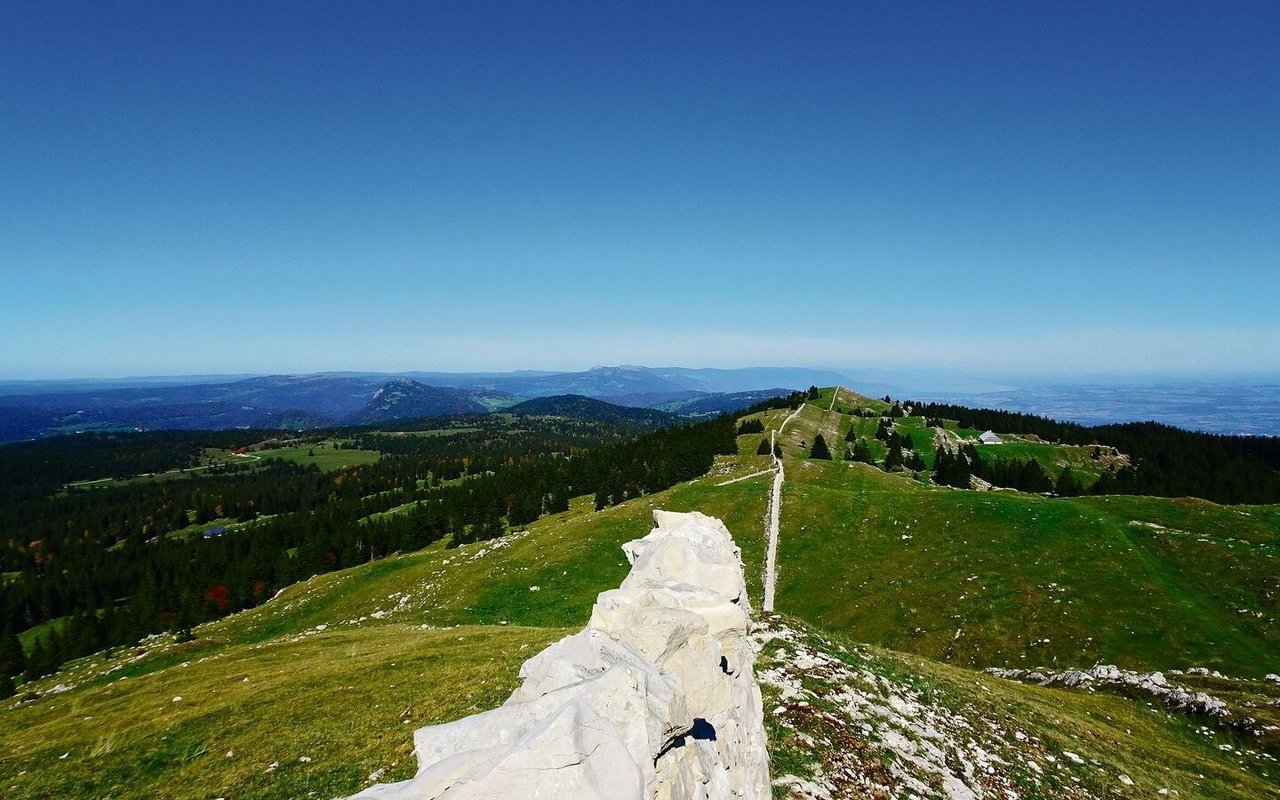 Glitzernde Seen, Weiten und dunkle Wälder vor der Haustüre: Auf einer Wanderung im Waadtländer Jura ergeben sich fesselnde Ausblicke; faszinierende Tiere und spannende Pflanzen säumen den Weg.