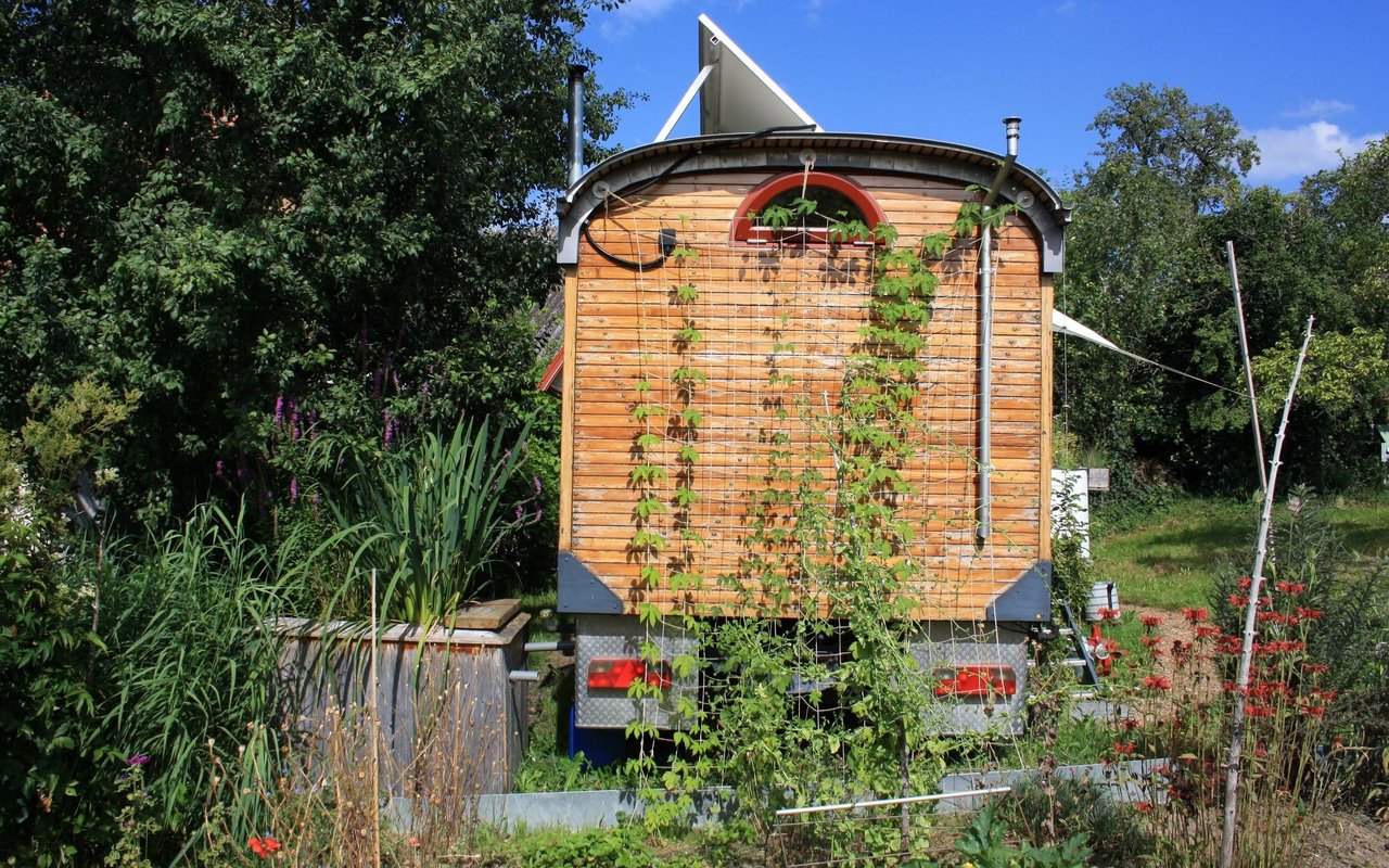 Hinter dem Zirkuswagen steht die Kläranlage in einer unscheinbaren Holzkiste, aus der mehrere Pflanzen rausgucken. Daneben ist der Garten angelegt.