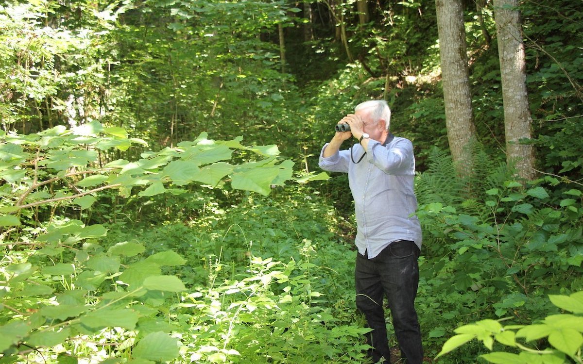 Hanspeter Latour beobachtet im lichten Wald Vögel. 