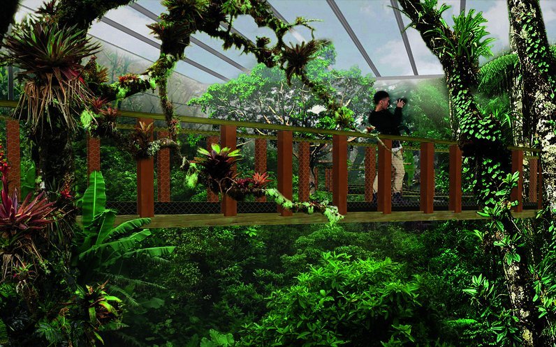 Durch die Baumgipfel im Papiliorama.