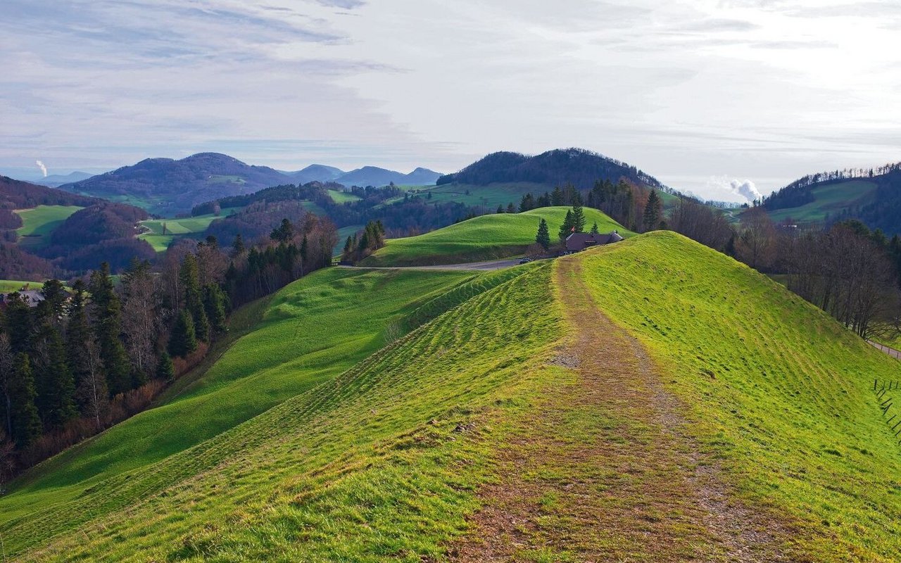 Auf dem Weg vom Baselländer in den Solothurner Jura zieht sich die Wanderung nach der Belchenfluh durch ein liebliches Hügelland.