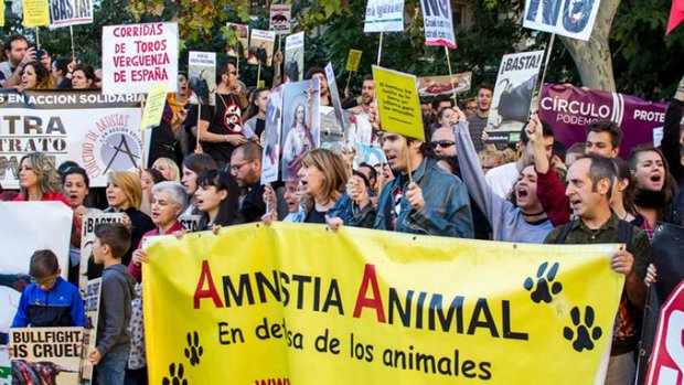 Sierkampf-Demo in Spanien