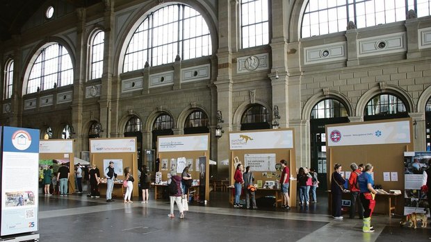 Zahlreiche Stände verschiedenster Tierschutzorganisationen in der Halle des Hauptbahnhofs Zürich.