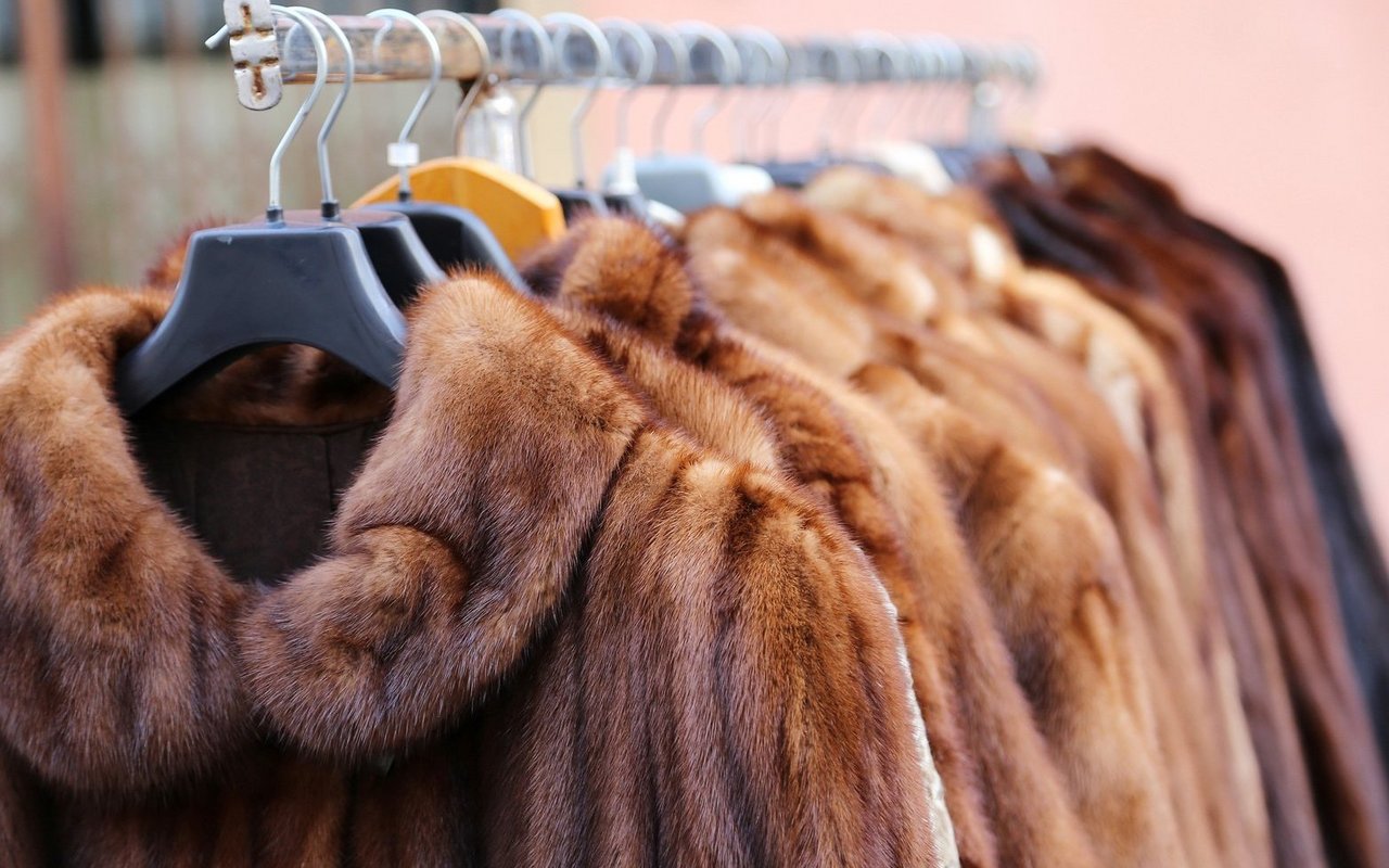 Beim Einkauf von Pelzprodukten müssen Händler neu einen Nachweis über eine nicht-tierquälerische Gewinnungsart erbringen.