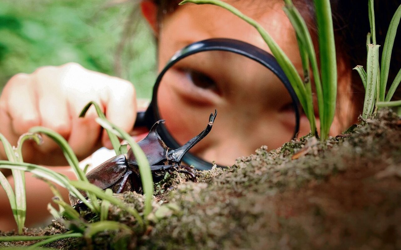 Das Ekelempfinden von Kindern ist geringer als das von Erwachsenen. Sie reagieren auf das meiste erstmal neugierig.