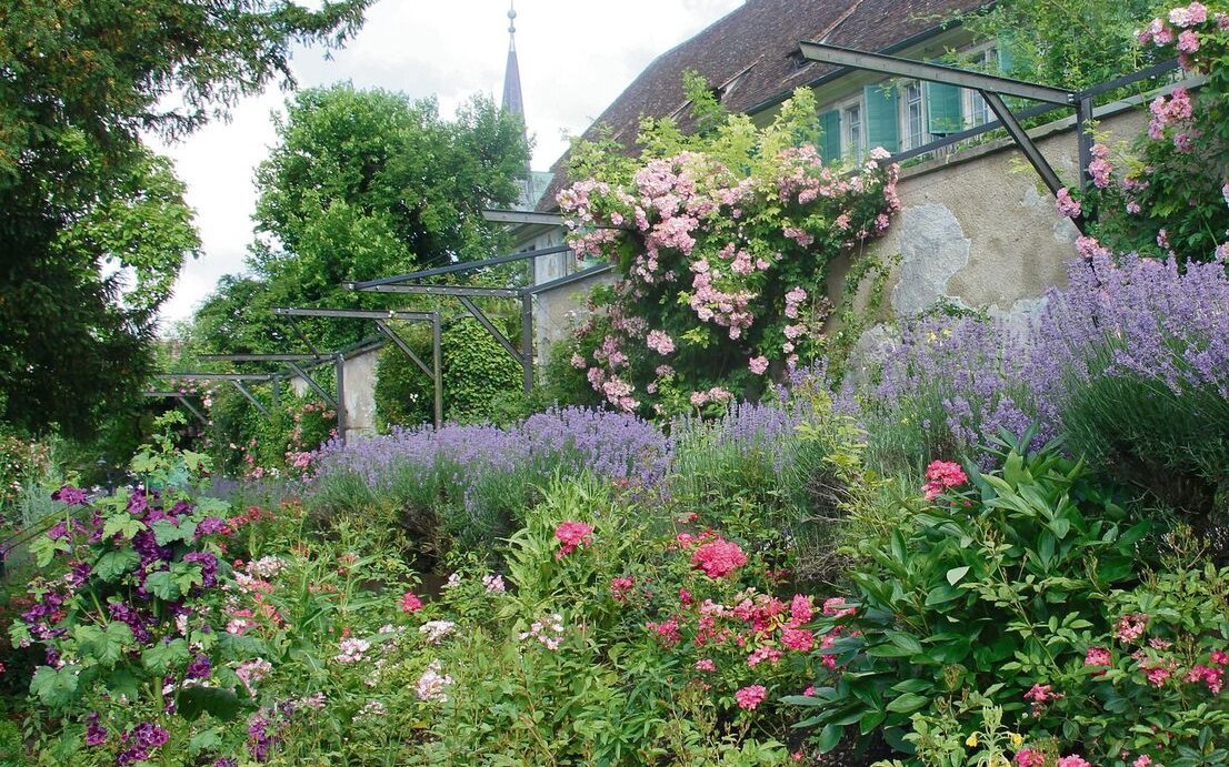 Gartenkunst in der Kartause Ittigen. Alte Rosensorten und Kräuterarten gedeihen seit jeher in dieser historischen Anlage. 