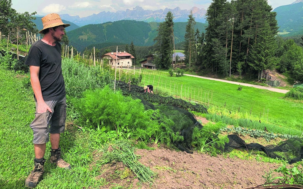 Der Vielfaltsbauer Michael Pfeiffer: Auf seinem Hof in Südtirol baut er über 500 verschiedene Gemüse-, Kräuter- und Getreidesorten an.