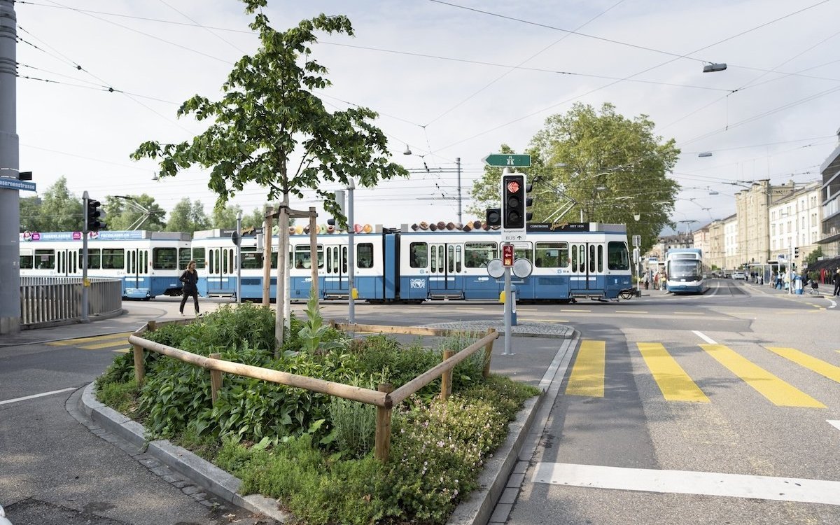 Die Stadt Zürich pflanzt auch neue Bäume in grüne Inseln.  