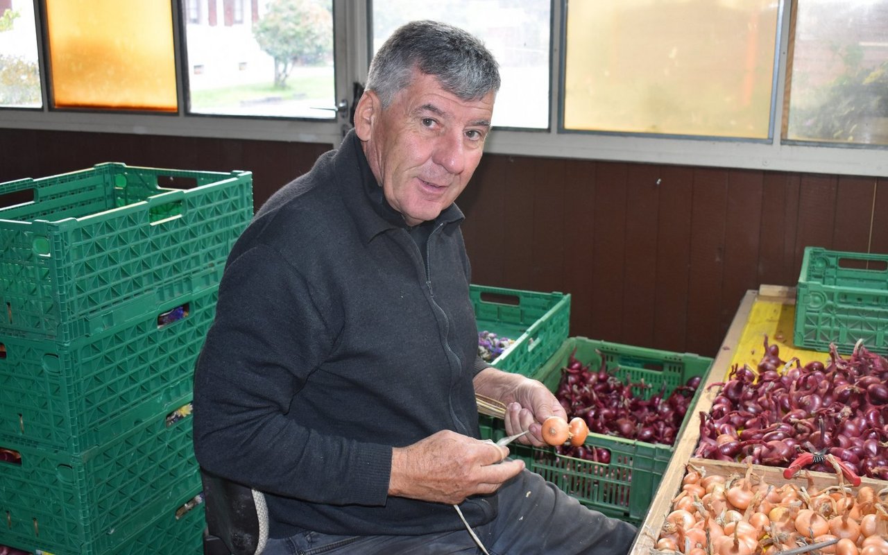 Hansueli Jampen verkauft seit 43 Jahren am Zibelemärit seine Zwiebelzöpfe. Tausende hat er bereits gefertigt.