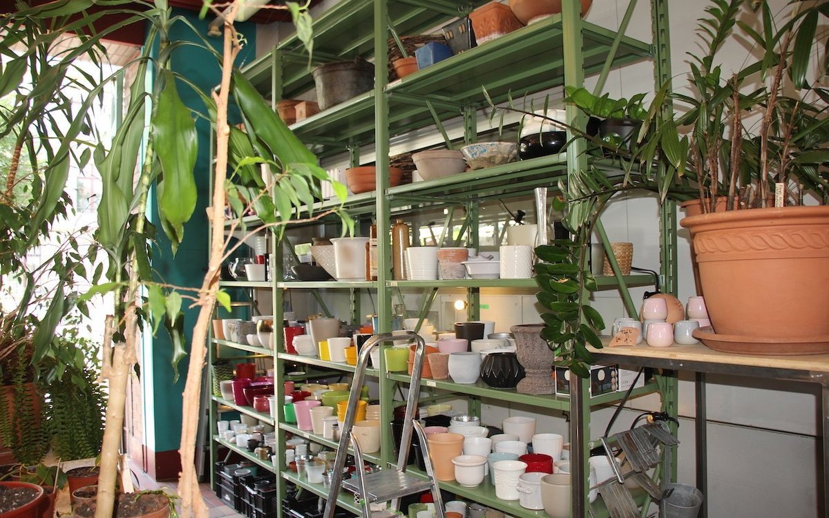 Das Berner Pflanzenbrocki ist für Pflanzenfreunde ein Paradies. 