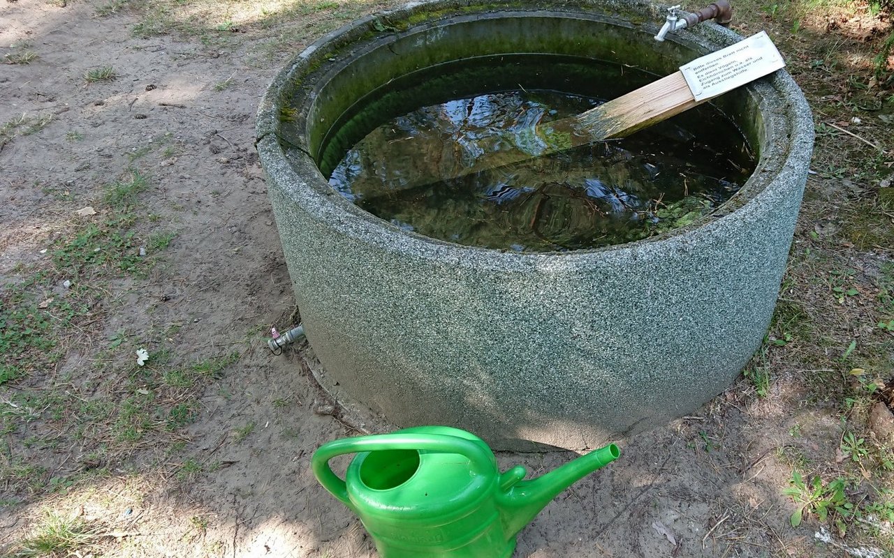 Ein Brett als Ausstiegshilfe rettet kleine Tiere vor dem Ertrinken in dieser Wassertonne.