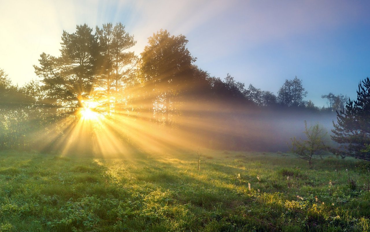 Von November bis Mai reicht die Sonneneinwirkung nicht, um die Vitamin D-Produktion der Haut genügend anzuregen. 