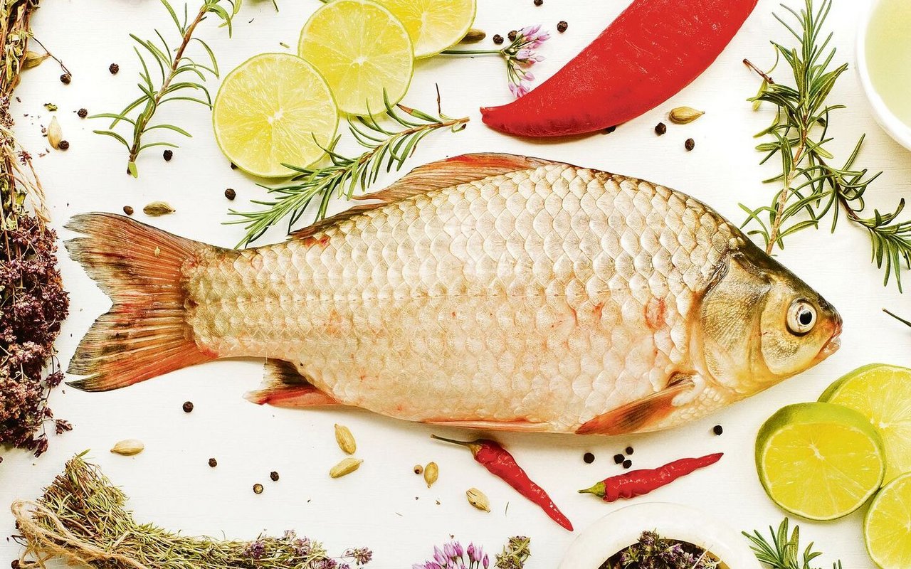 Warum der Karpfen an Weihnachten plötzlich überall auftaucht