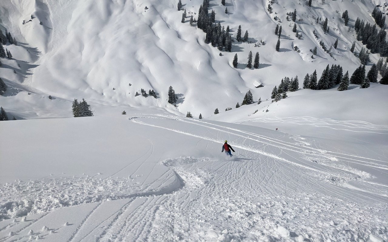 Schneesport ausserhalb von Pisten birgt für Wildtiere eine zusätzliche Belastung, da sie Menschen in diesen Gebieten meist nicht erwarten. 