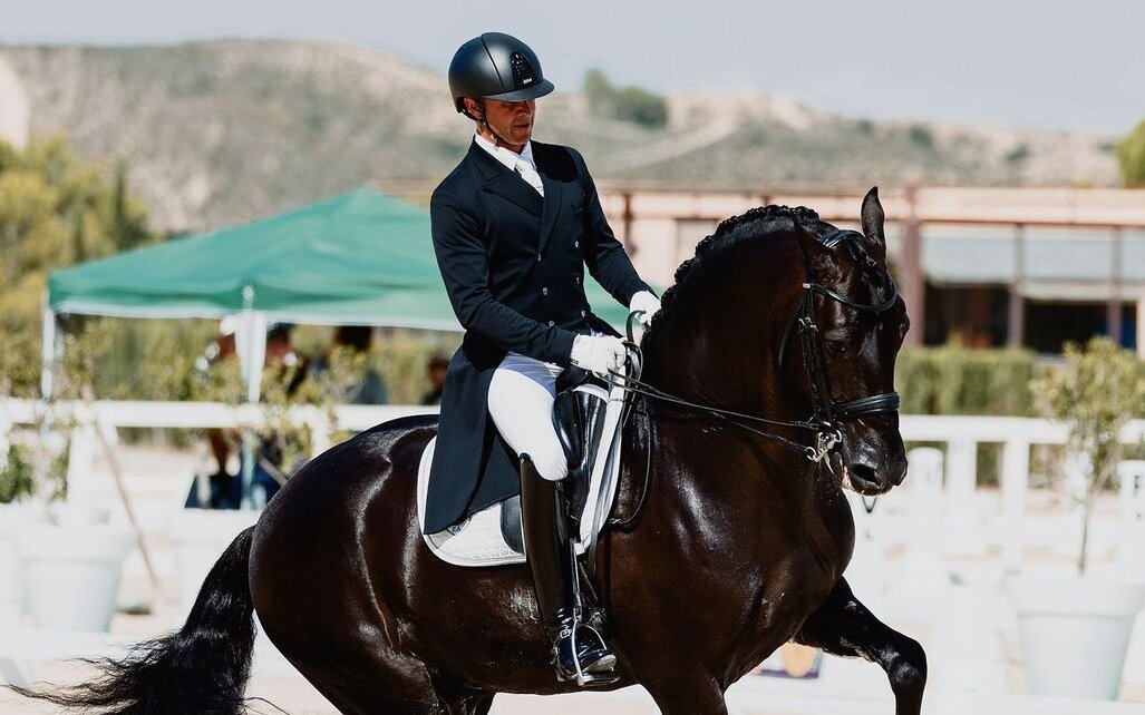 Andrea Domigs Zuchthengst Negrito de Andaluz steht in Spanien.