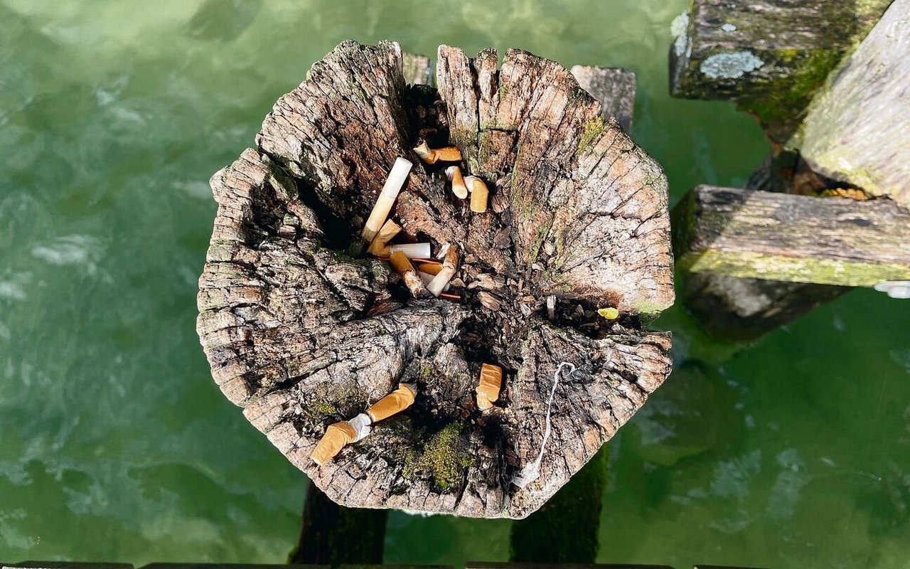 Umweltverschmutzungen sind Rangern ein Dorn im Auge.