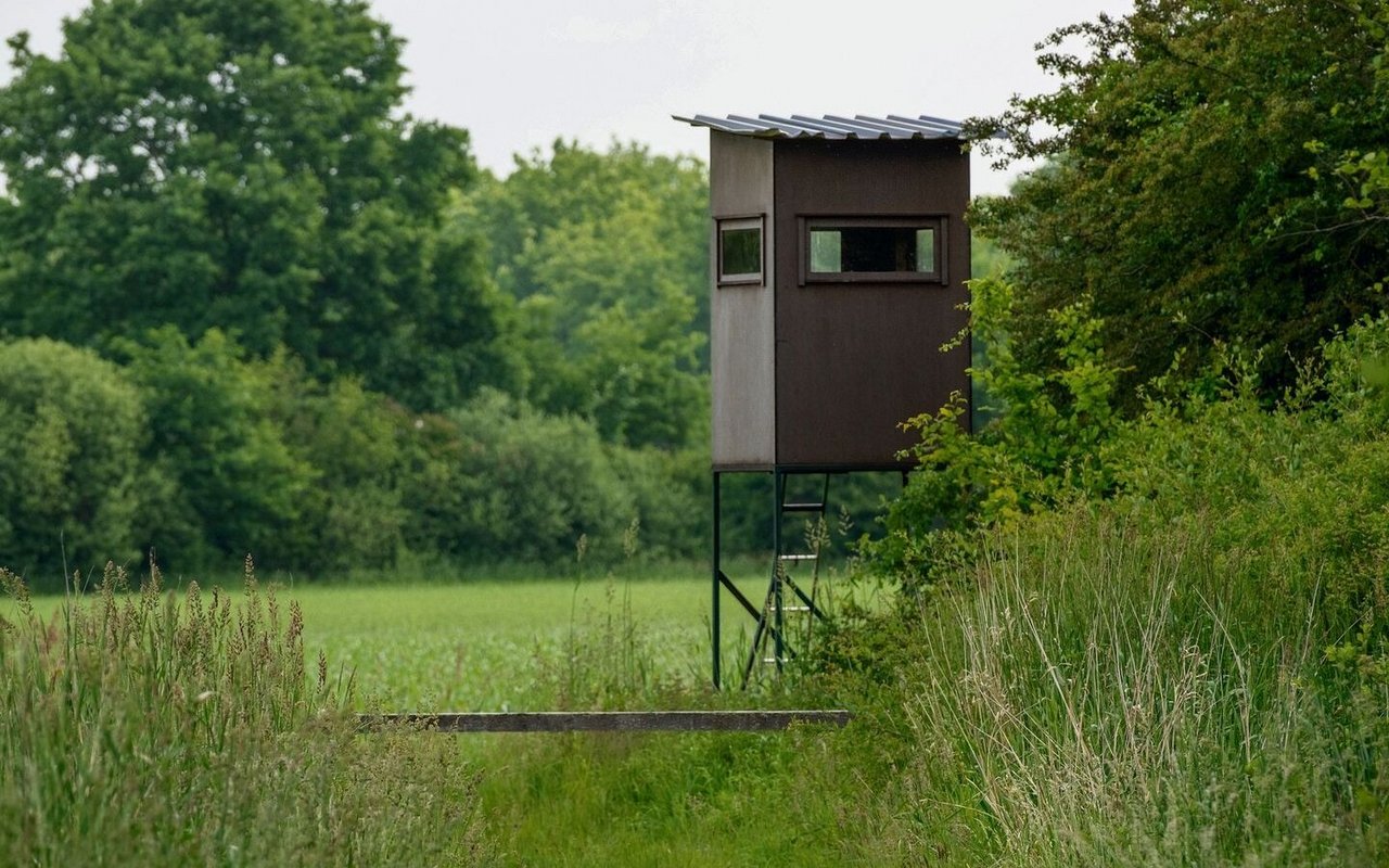 Auf diesem Hochsitz lauern Jägerinnen und Jäger.