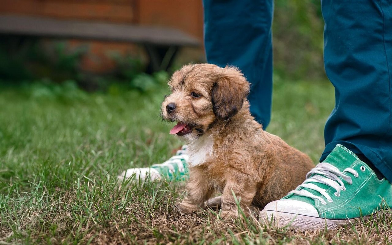 Sie brauchen danach Ruhe, um die Reize und das Gelehrnte verarbeiten zu können. 