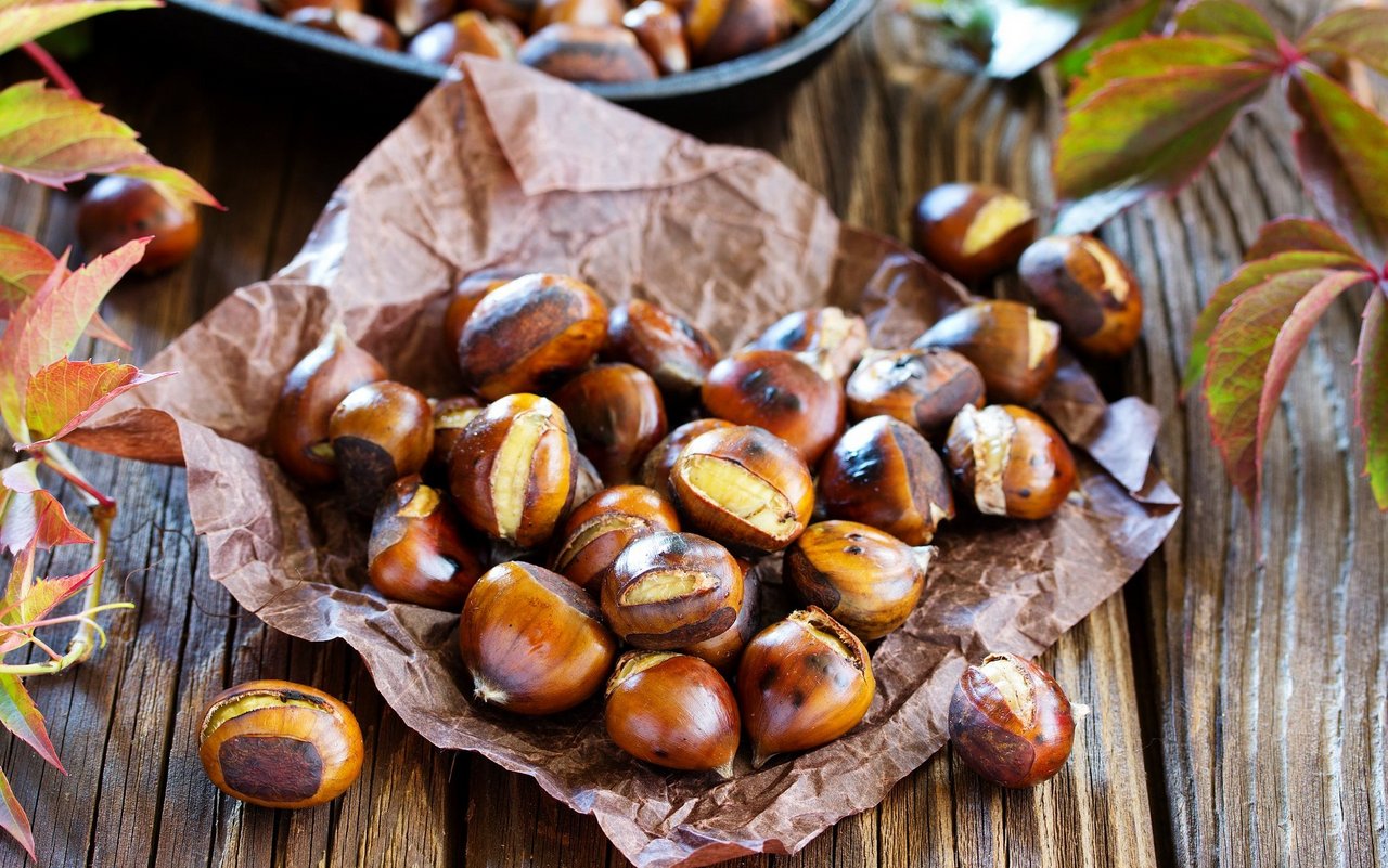 Maronen gehören, wie farbige Blätter zum Herbst. Die gesunden Nüsse können auch ganz einfach zu Hause geröstet werden. 
