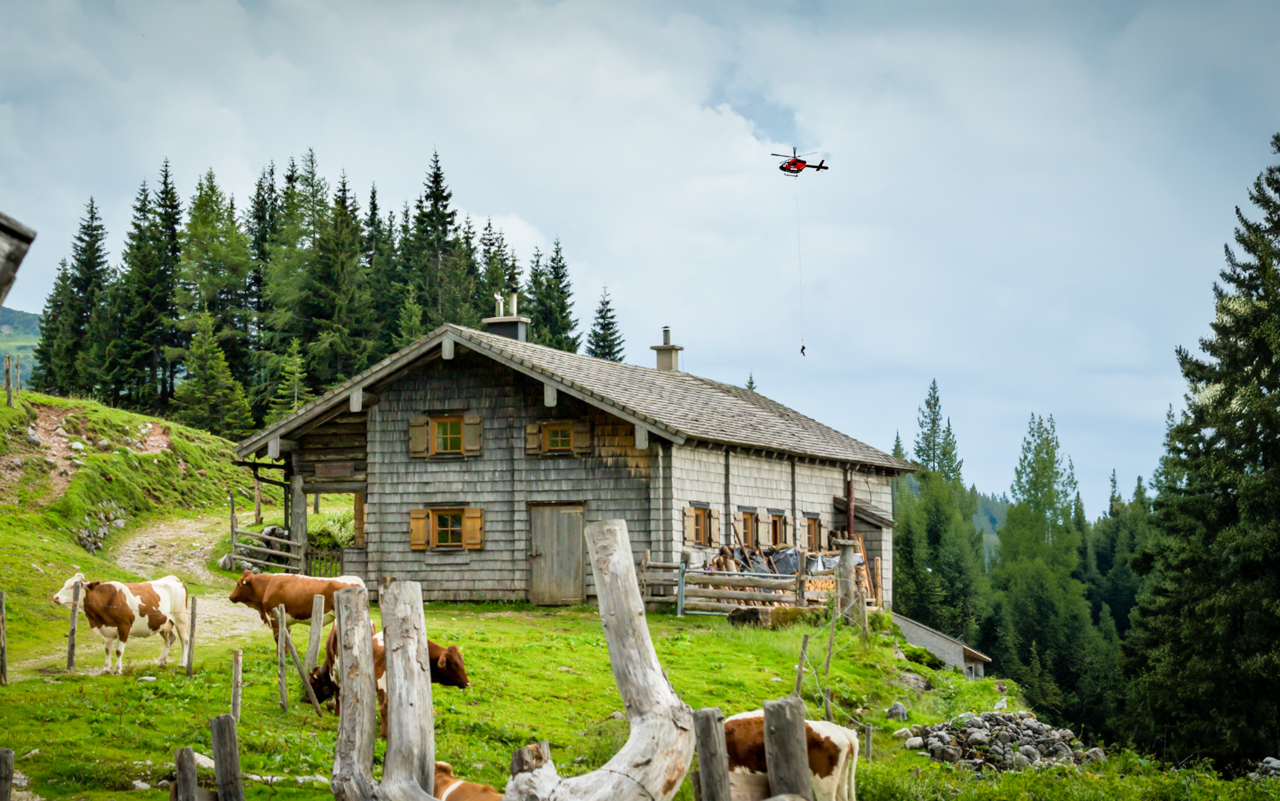Bei einer Grosstierrettung wird manchmal schweres Geschütz aufgefahren. 