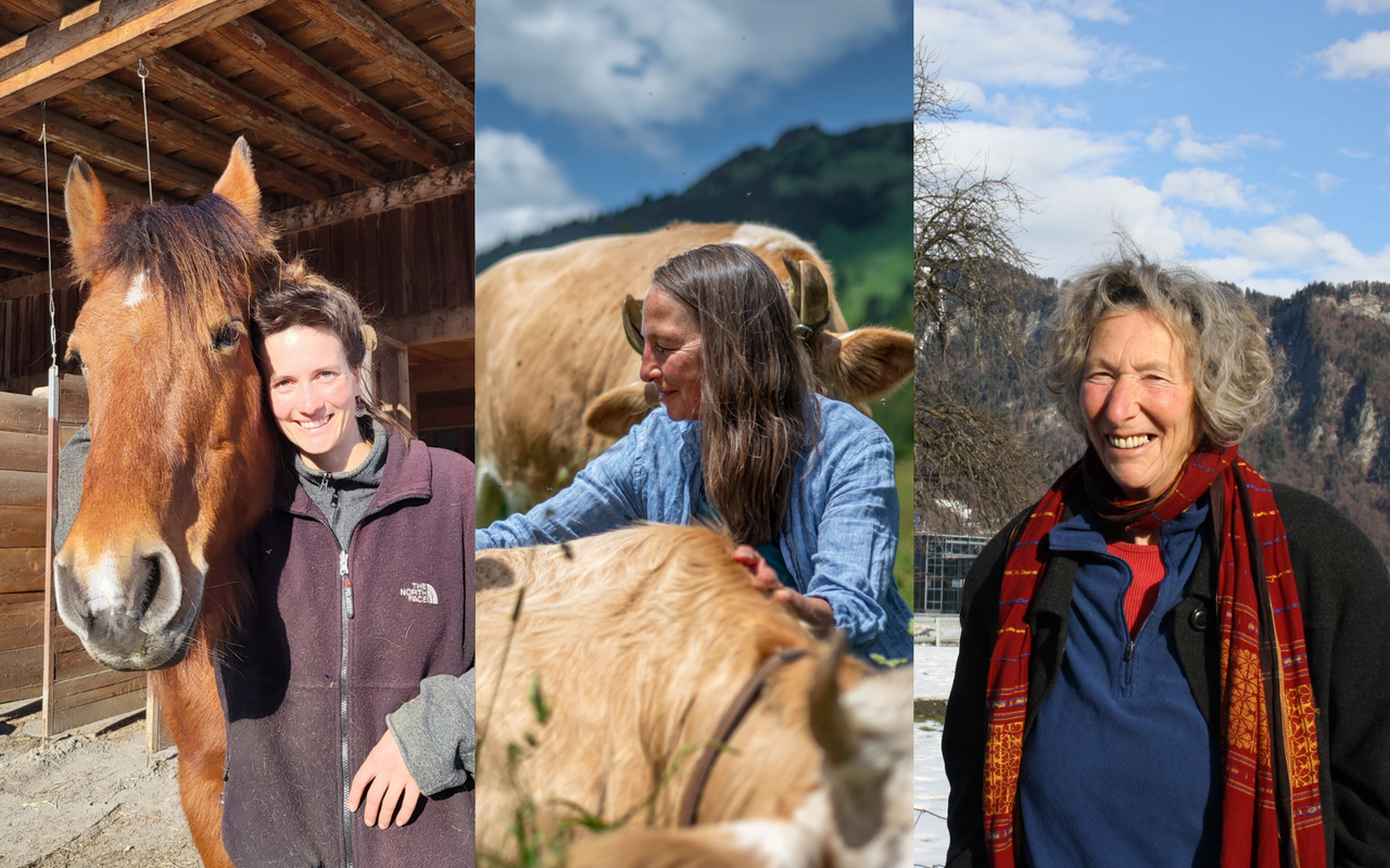 Drei Betriebsleiterinnen – drei Welten – drei Lebenswege.