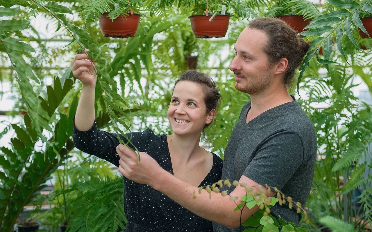 Maria und Michael Schneider freuen sich über ihre selbst gezogenen Pflanzen. 