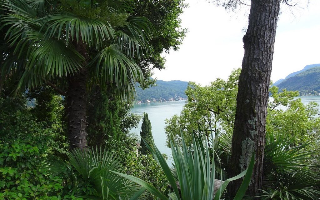 Im begünstigten Klima des Tessins wuchern Pflanzen wie in den Subtropen. 
