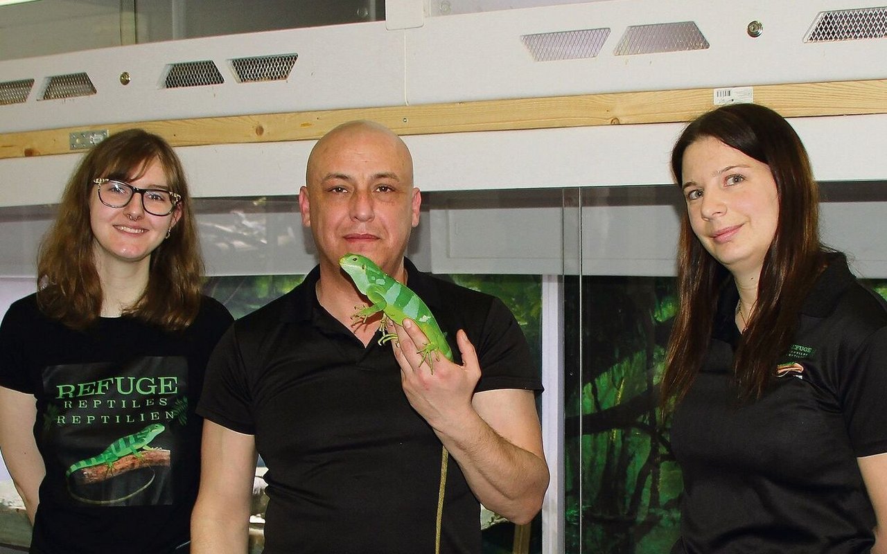 Leia Landry und Carlos und Sandrine Rodriguez setzen sich ehrenamtlich für Reptilien ein, so wie etwa für den Gebänderten Fidschi-Leguan.