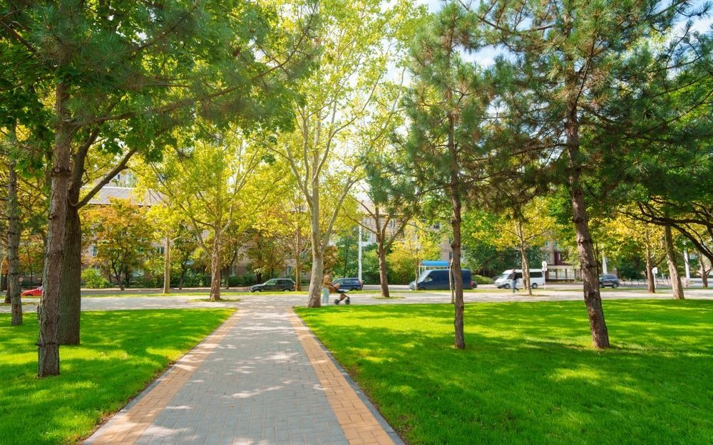 Stadtparks sind grüne Lungen. 