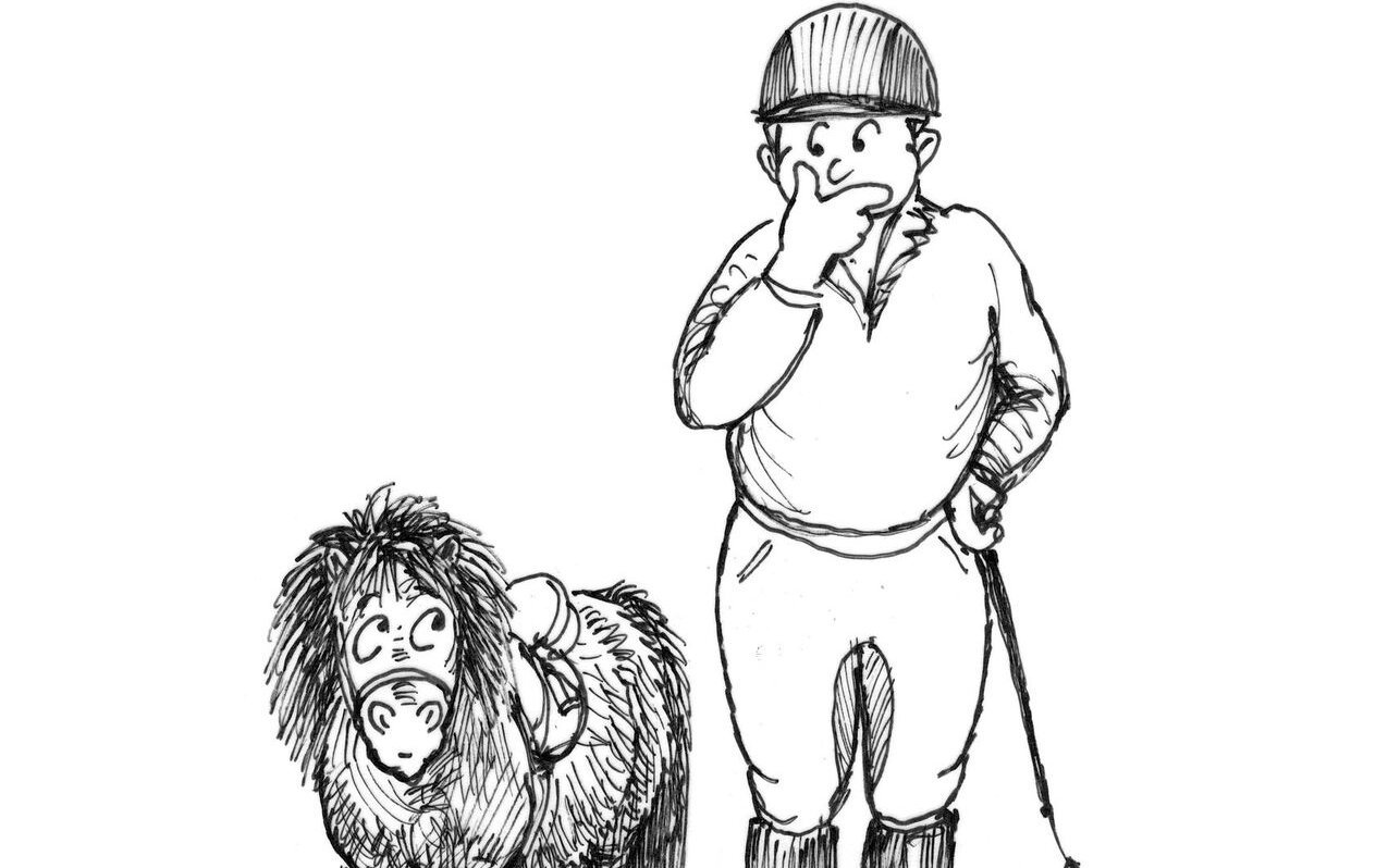 Wie finde ich heraus, ob das das Verhältnis Pferd- Reitergewicht stimmig ist? Der SVPS hilft weiter.