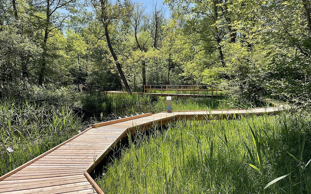 Der Erlebnispark durch die Thurauen gehört zu den Highlights des Naturparks Schaffhausen.