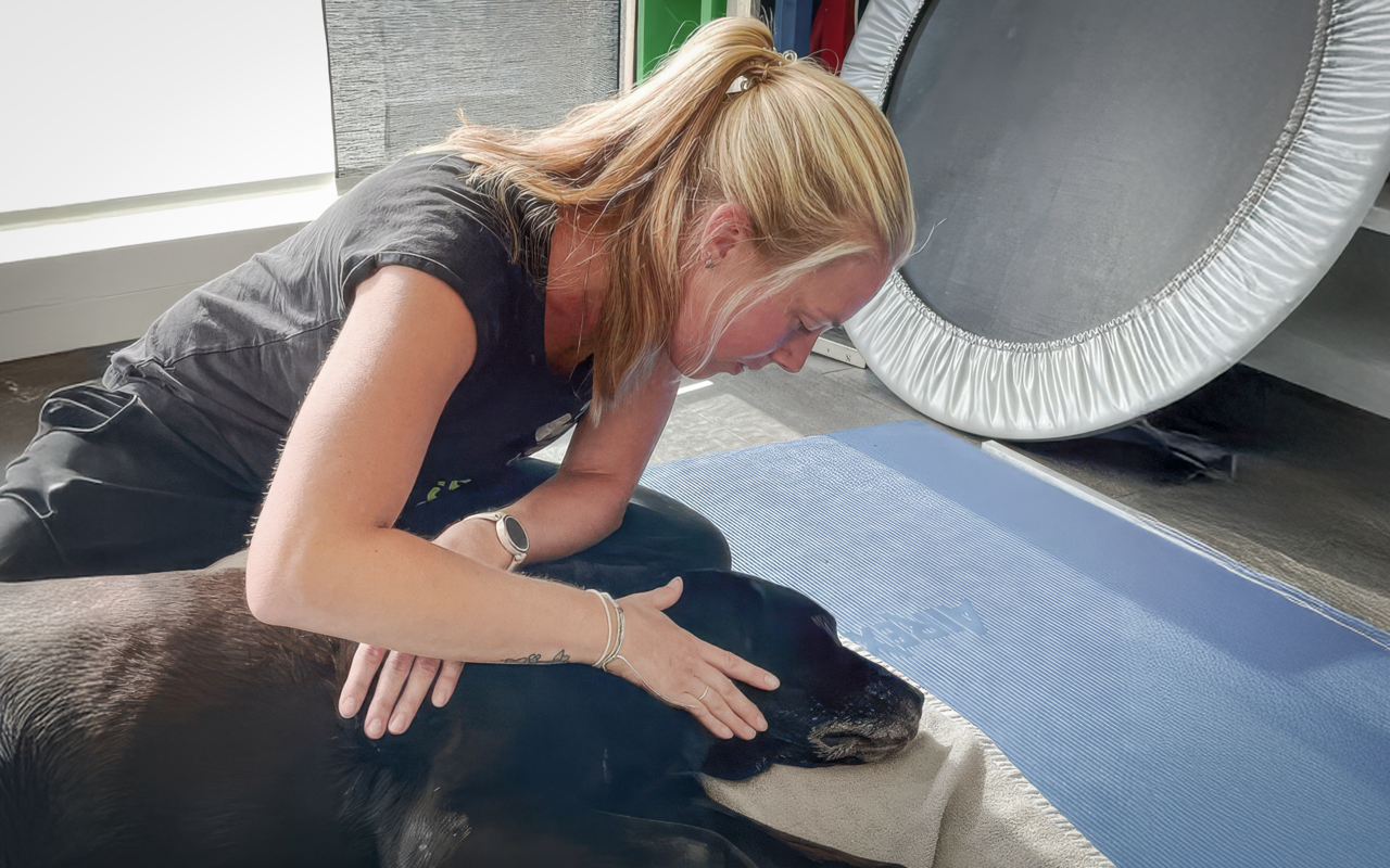 Der Hauptaspekt der entspannenden Massage liegt auf der Schmerzlinderung durch Muskelentspannung (unten).