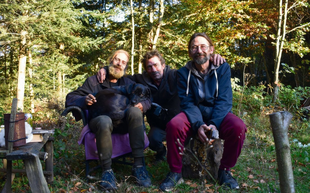 Chrütli, Hündin Manali, Röfe und Urs geniessen Ende Oktober die letzten Sonnenstrahlen im Bremgartenwald.