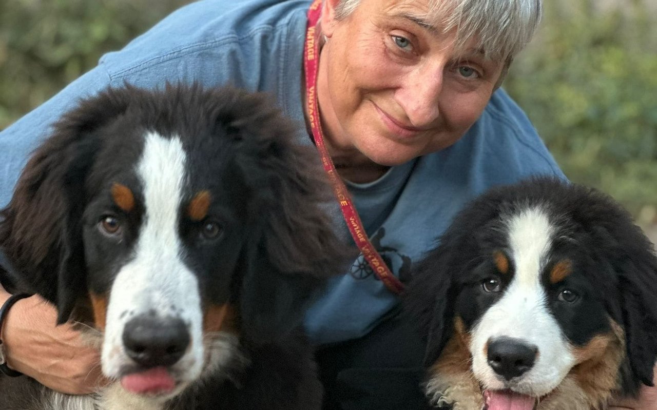 Susan Schaffner bildet im Verein "Assistenzhundezentrum Schweiz" Hunde und ihre Besitzer zu Teams aus. 