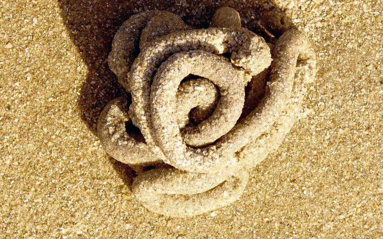 Die kleine Sandspaghetti-häufchen sind die Ausscheidungen der Wattwürmer.