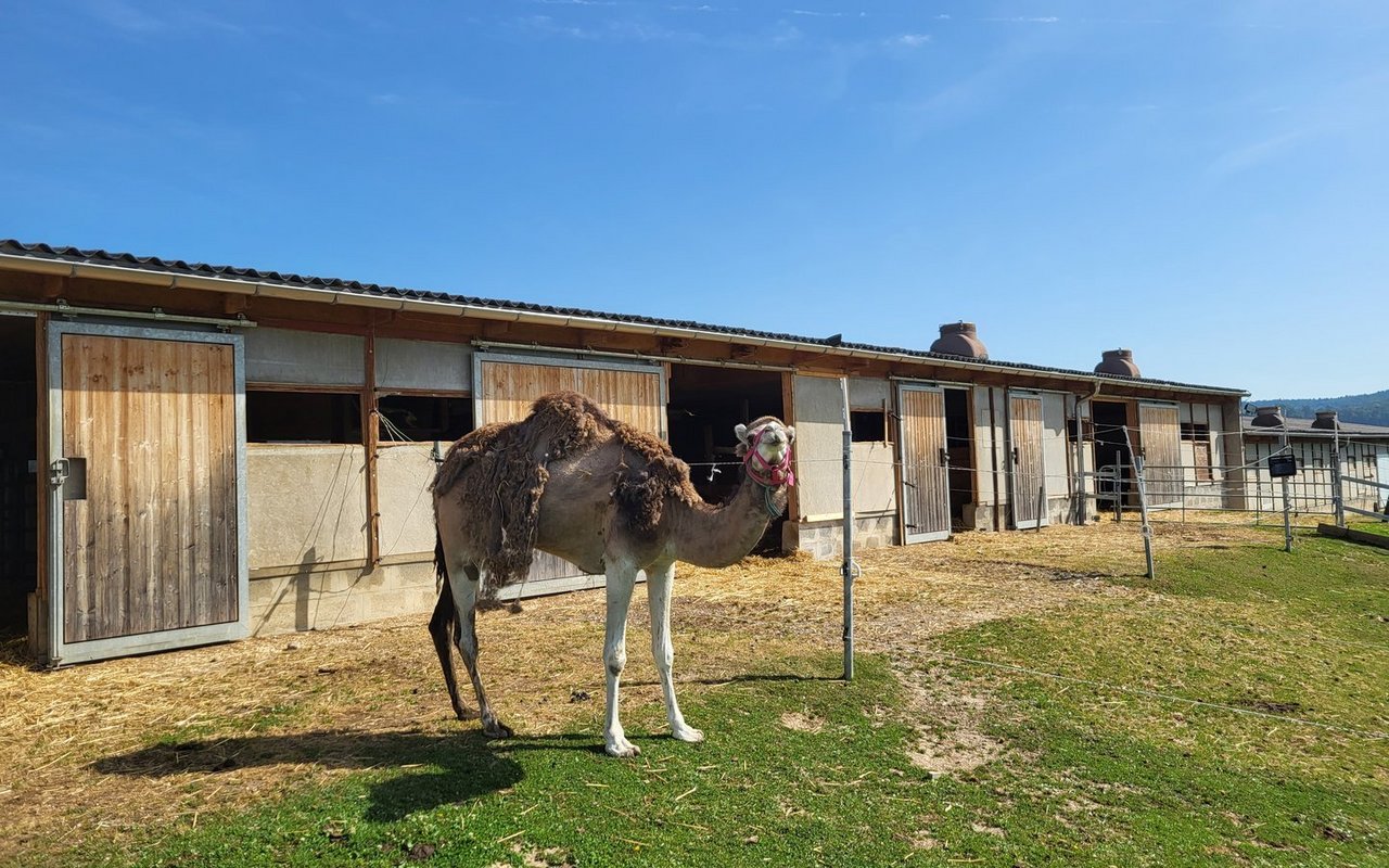 Ein Foto aus den Ferien? Mitnichten! Dieser Anblick bietet auch ein Ausflug nach Oberglatt.