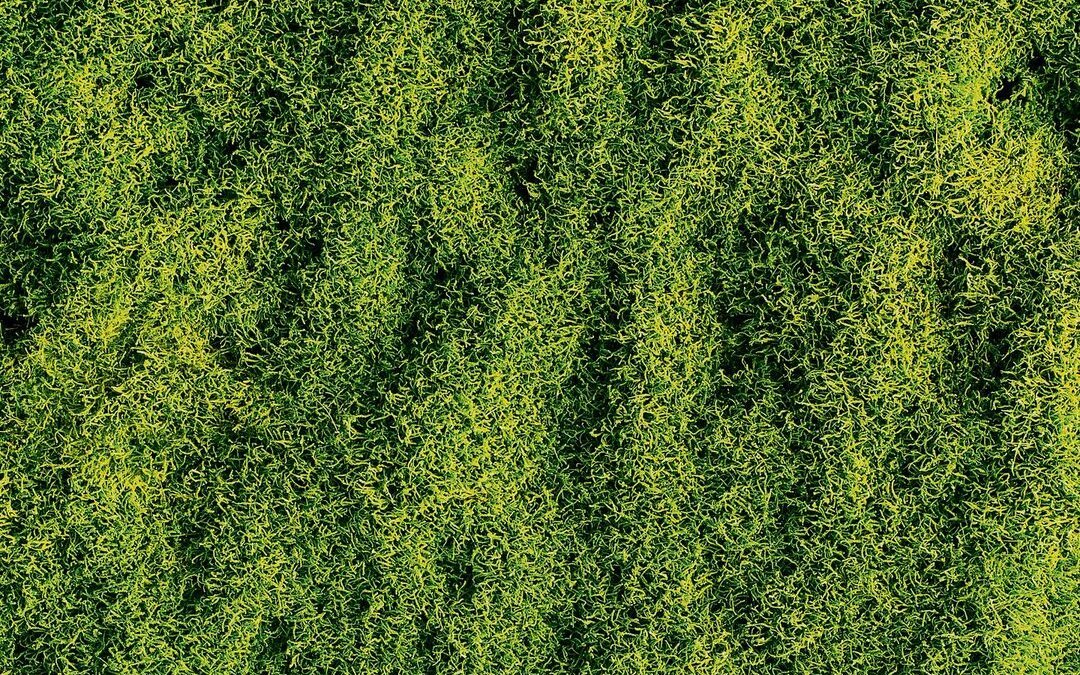 Damit Feuchtigkeit gespeichert wird, kommt frisches Moos mit in das Glas.