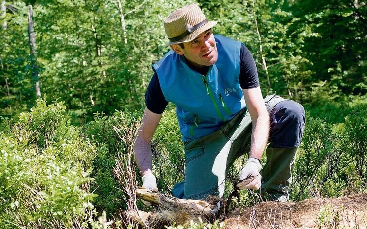 Biologe Christianvon Hoermann plädiert dafür, Wildtierkadaver der Natur zu überlassen.