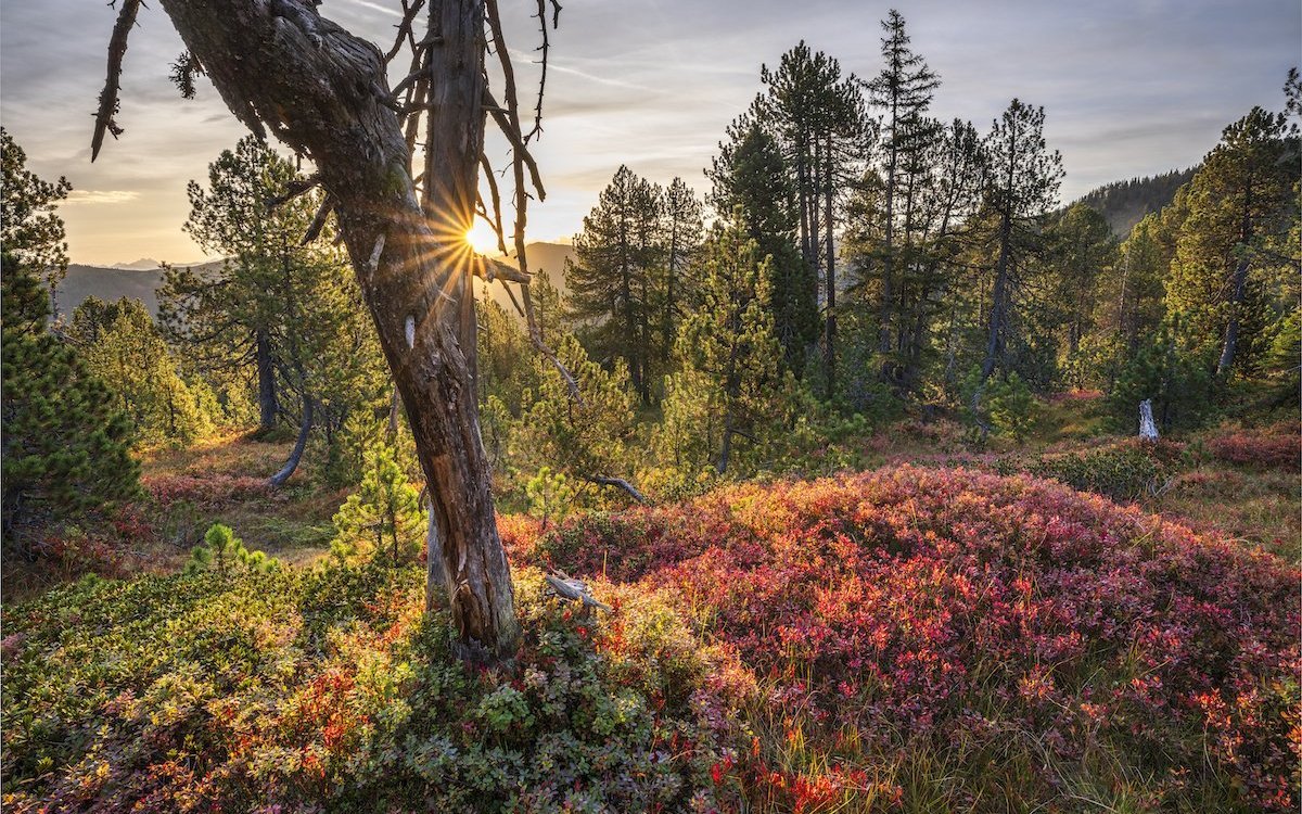 Im Entlebuch hat es besonders viele Moore. 
