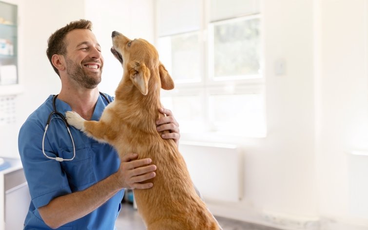 Hier erfahren Sie, wann und warum eine Kastration sinnvoll ist und was Sie dabei beachten sollten.